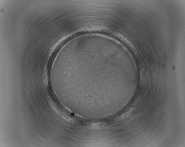 X0000079320584200612151819