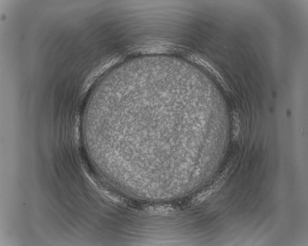 X0000079320586200612151819