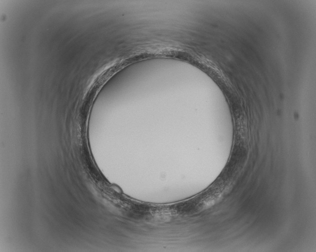 X0000079320587200612151819