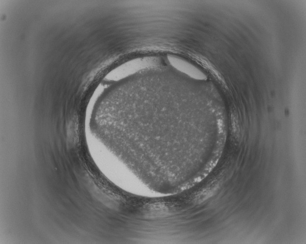 X0000079320588200612151819