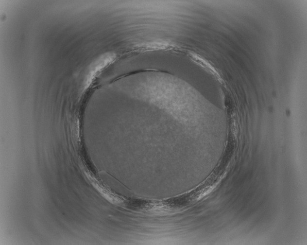 X0000079320589200612151819