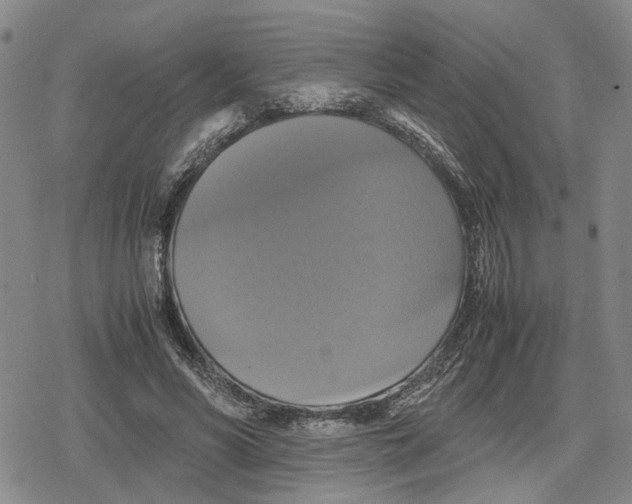 X0000079320590200612151819