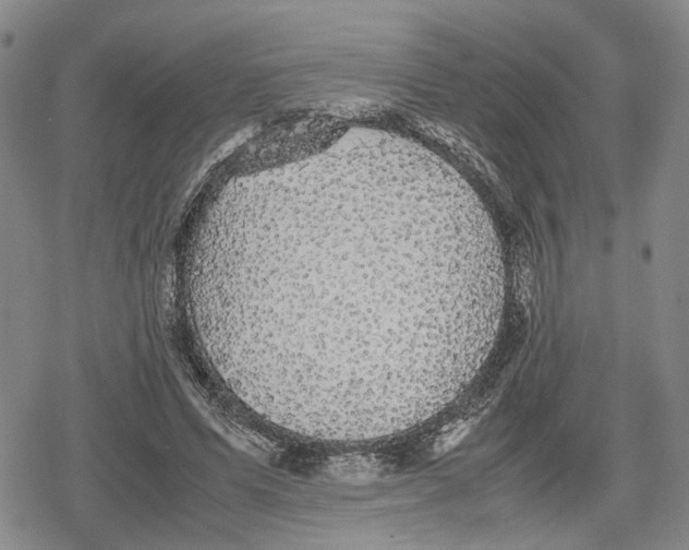 X0000079320591200612151819