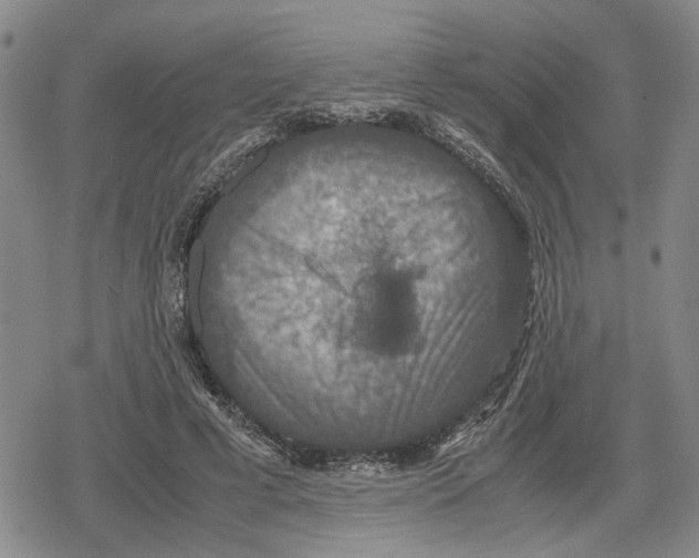 X0000079320593200612151819