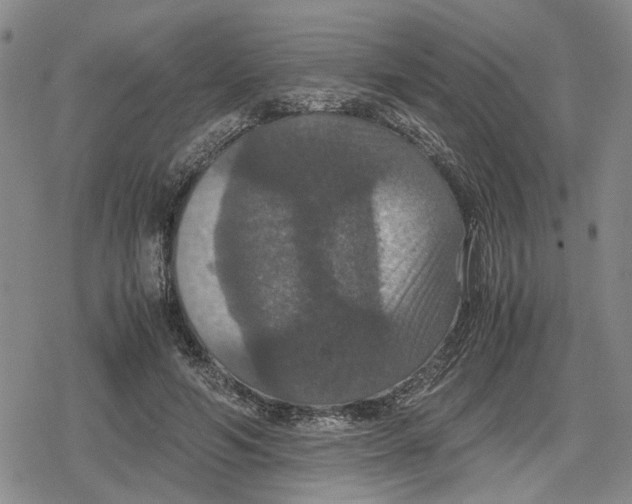 X0000079320594200612151819