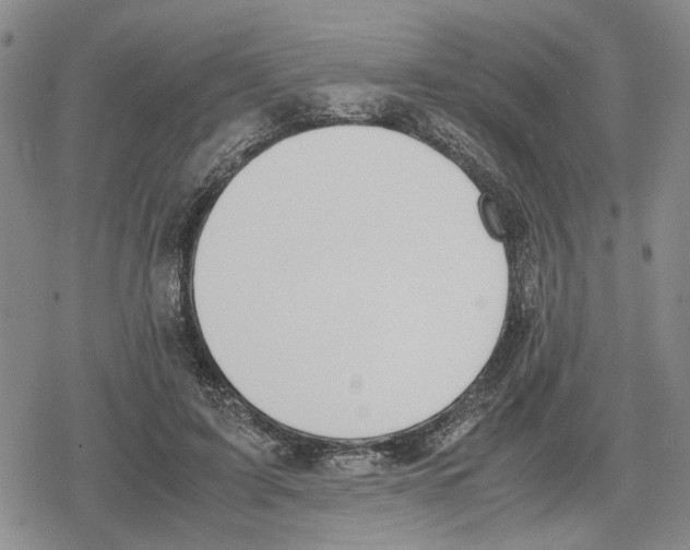 X0000079320595200612151819