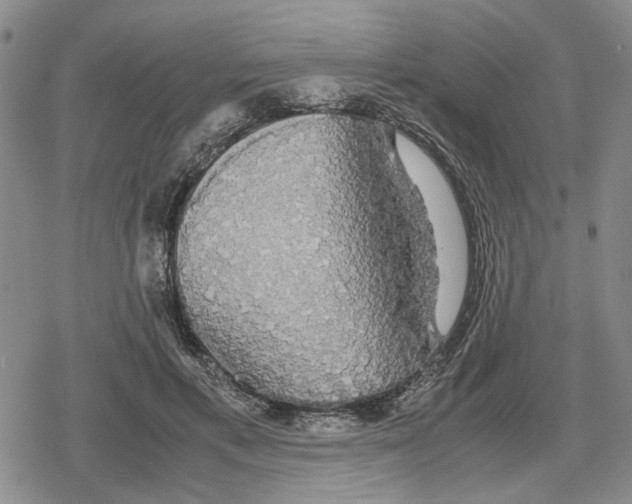 X0000079320597200612151819