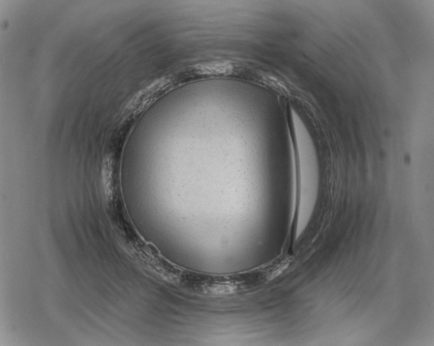 X0000079320600200612151819