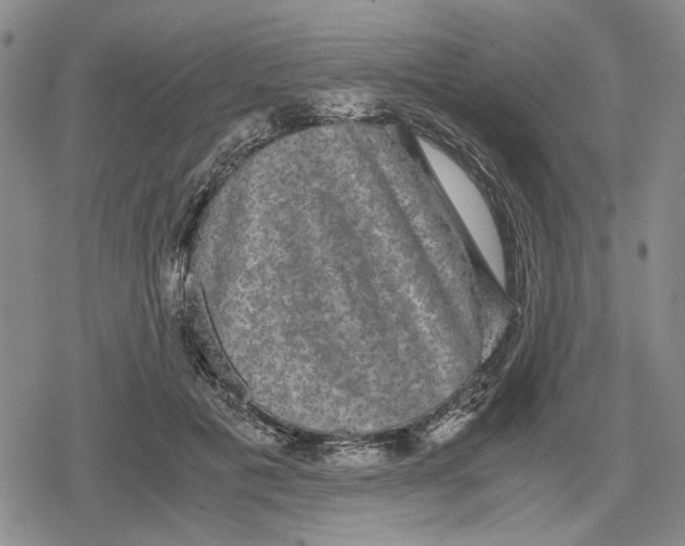 X0000079320601200612151819