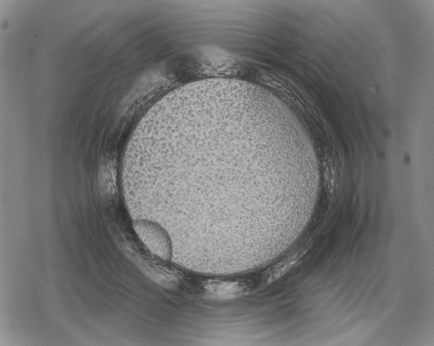 X0000079320602200612151819