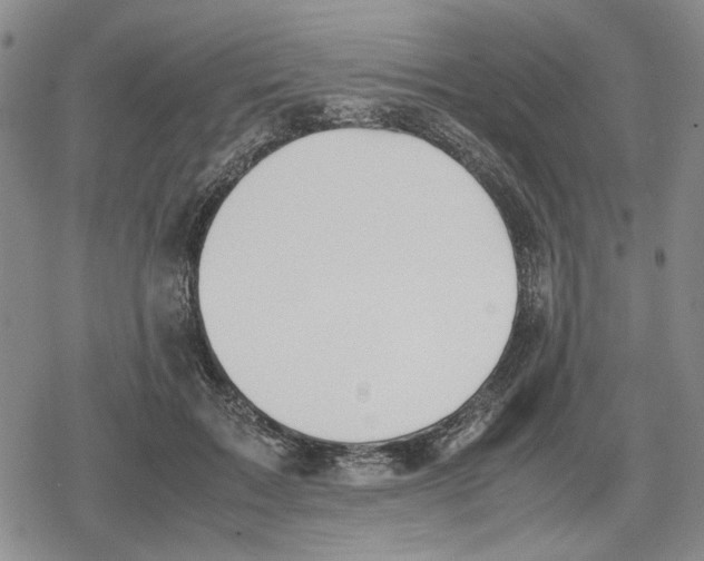 X0000079320603200612151819