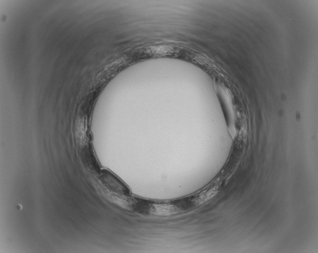 X0000079320605200612151819