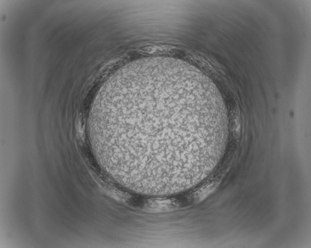 X0000079320607200612151819