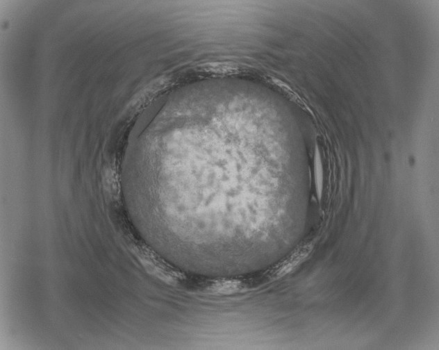 X0000079320609200612151819