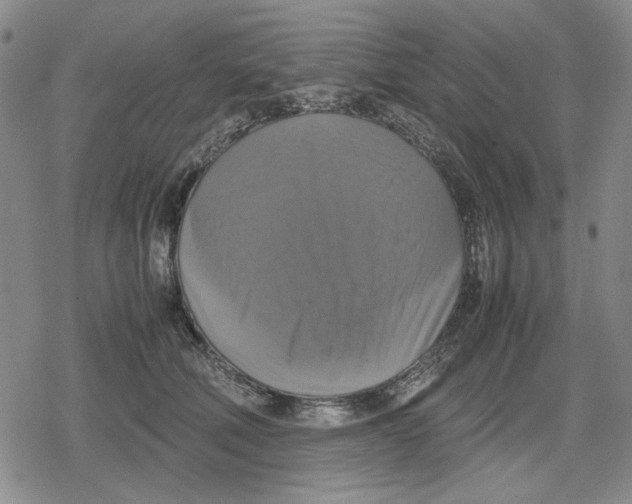 X0000079320610200612151819