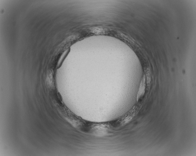 X0000079320611200612151819