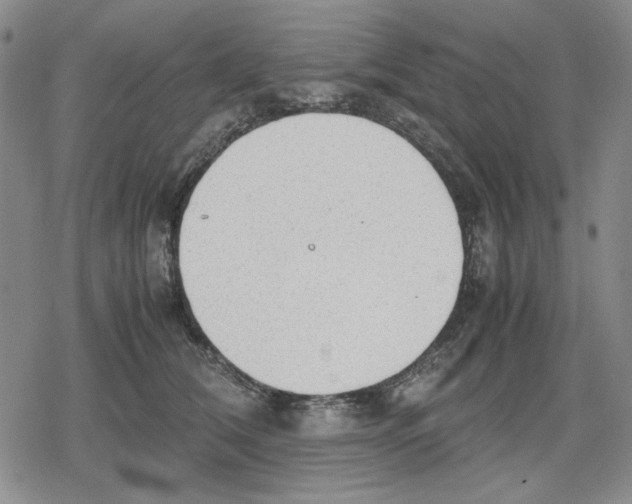 X0000079320612200612151819