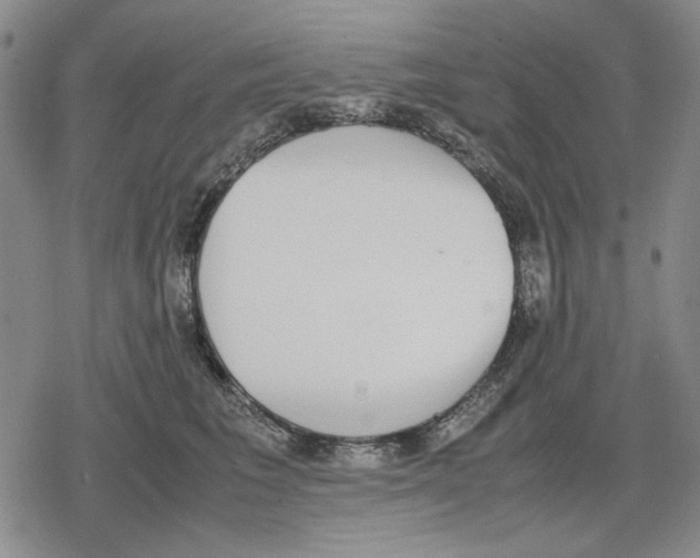 X0000079320613200612151819