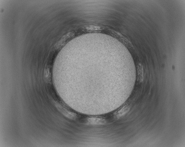 X0000079320614200612151819