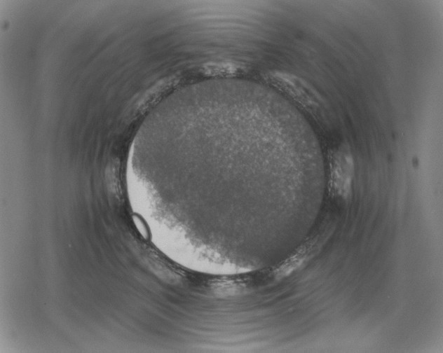 X0000079320616200612151819