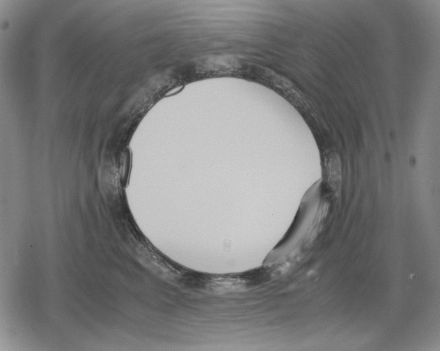 X0000079320617200612151819