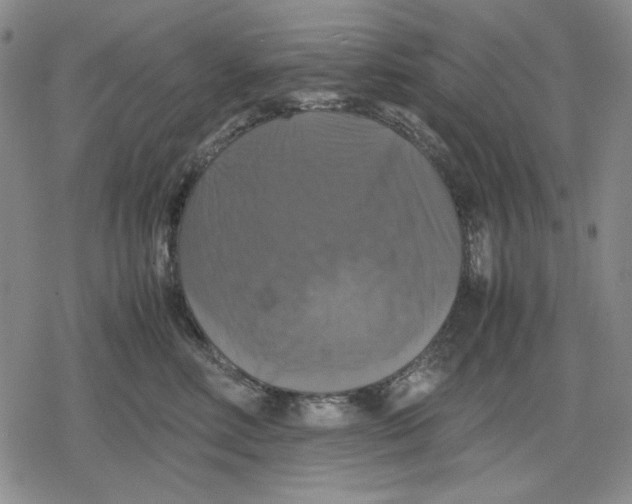 X0000079320618200612151819