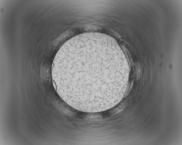 X0000079320619200612151819