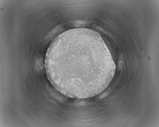 X0000079320620200612151819