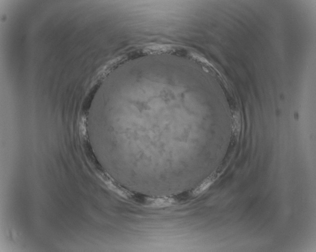 X0000079320621200612151819