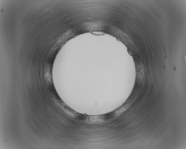 X0000079320622200612151819