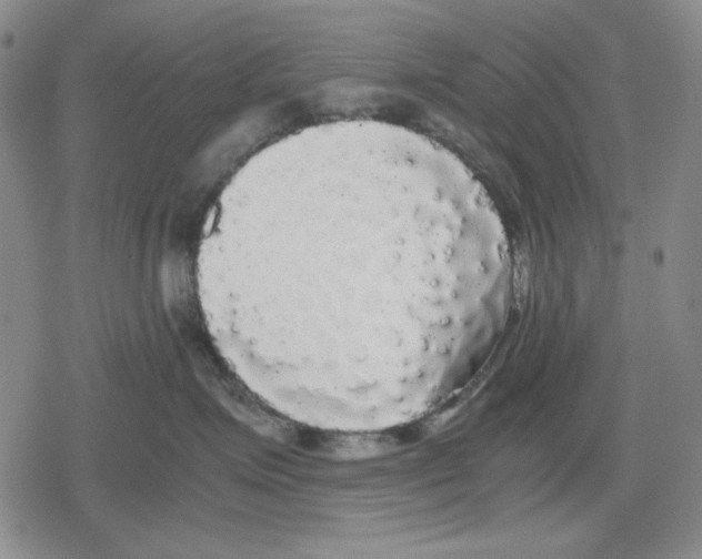 X0000079320623200612151819