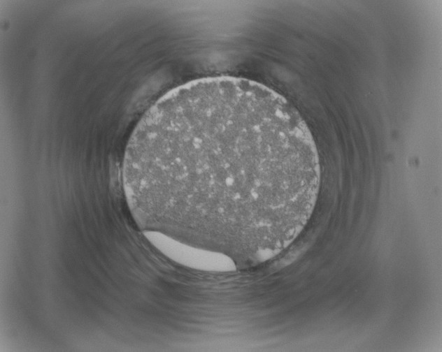 X0000079320624200612151819