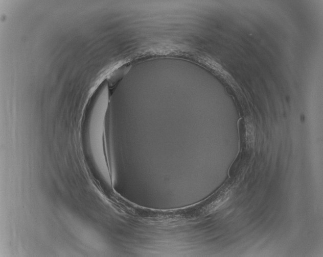 X0000079320626200612151818