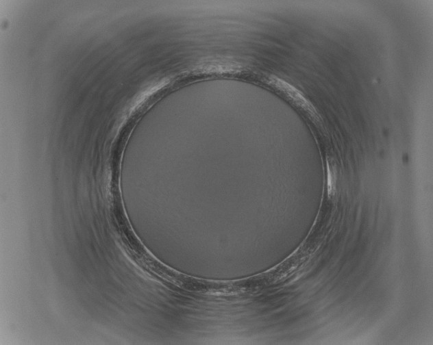 X0000079320627200612151818