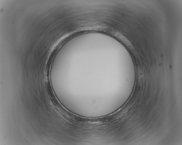 X0000079320628200612151818