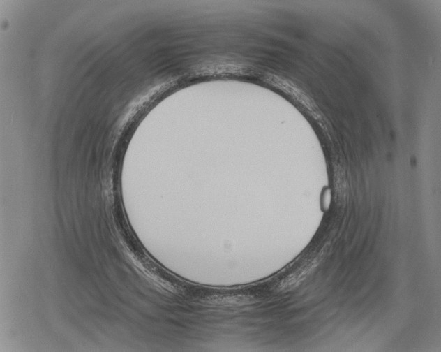 X0000079320629200612151818