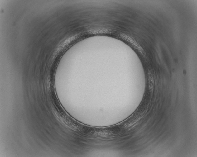 X0000079320631200612151818