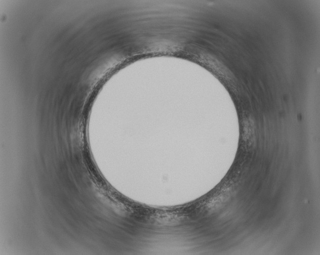 X0000079320632200612151818