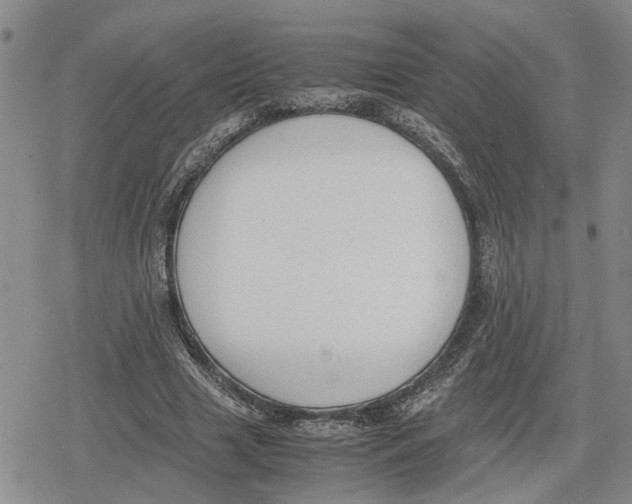 X0000079320633200612151818