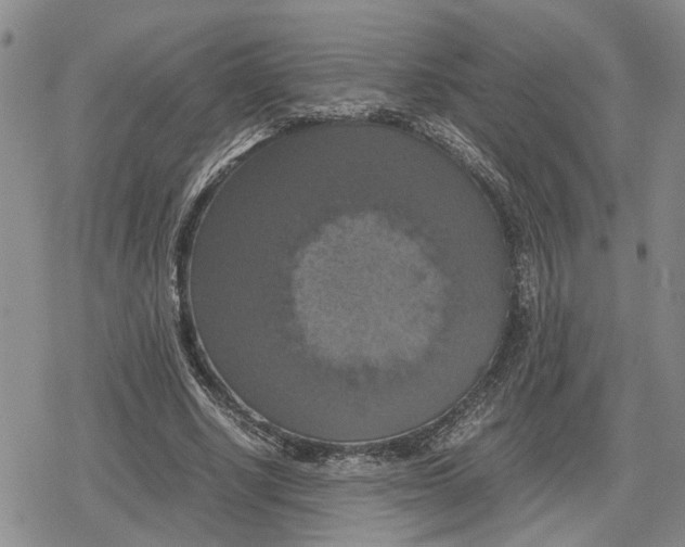 X0000079320634200612151818