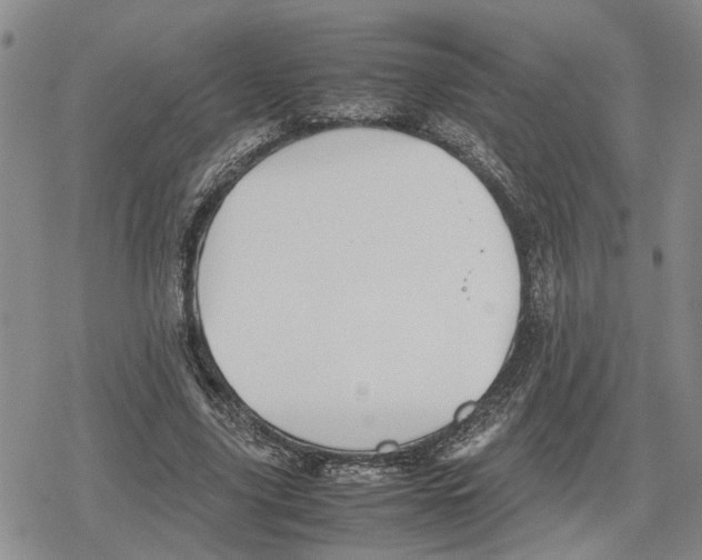 X0000079320635200612151818