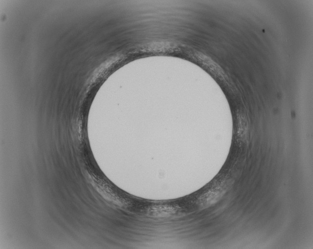 X0000079320636200612151818