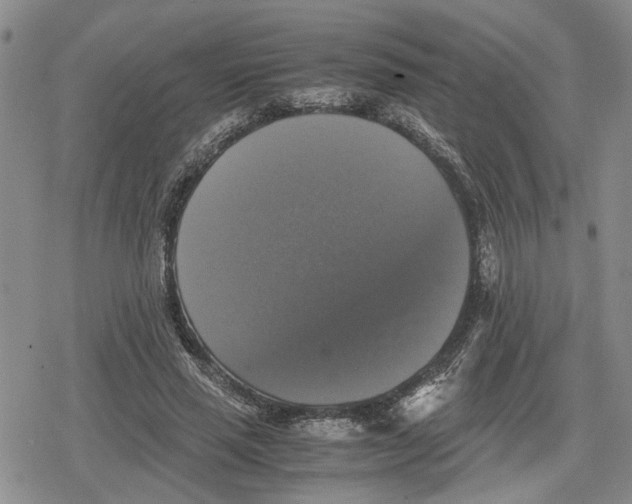 X0000079320637200612151818