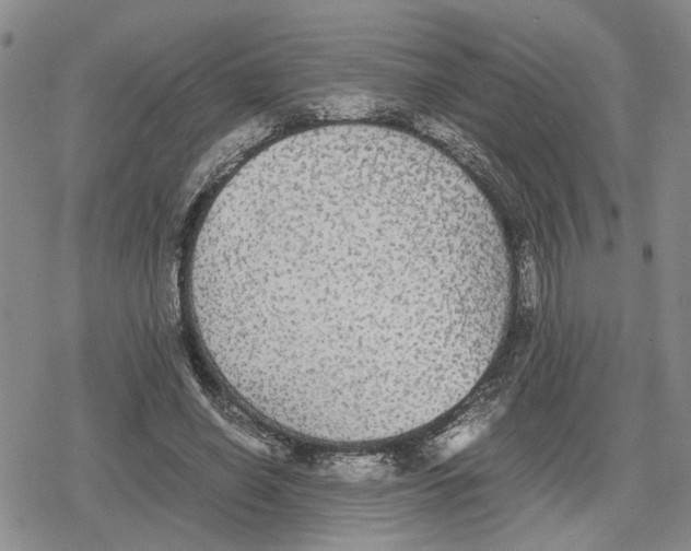 X0000079320638200612151818