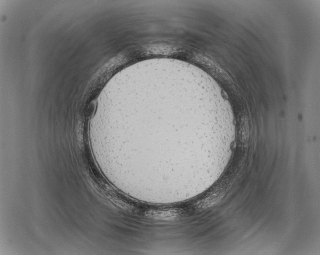 X0000079320639200612151818