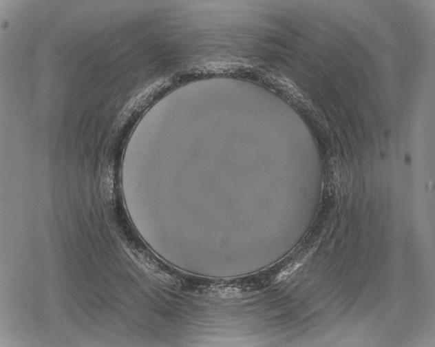 X0000079320640200612151818