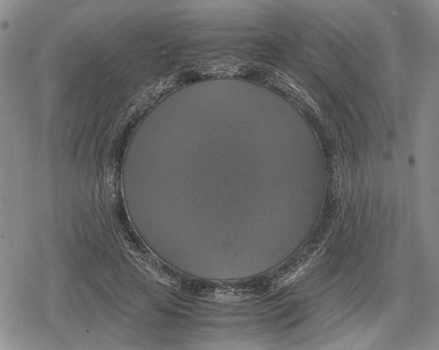 X0000079320641200612151818