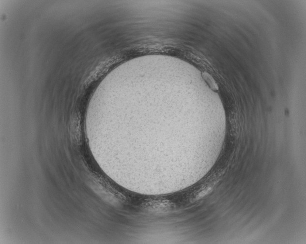 X0000079320642200612151818