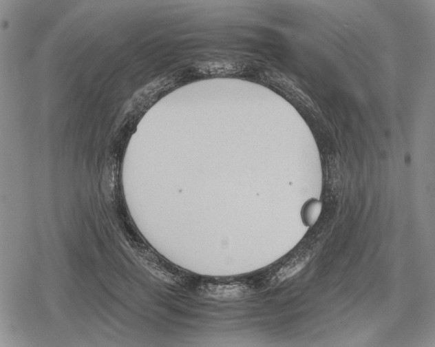 X0000079320645200612151818