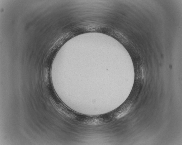 X0000079320646200612151818